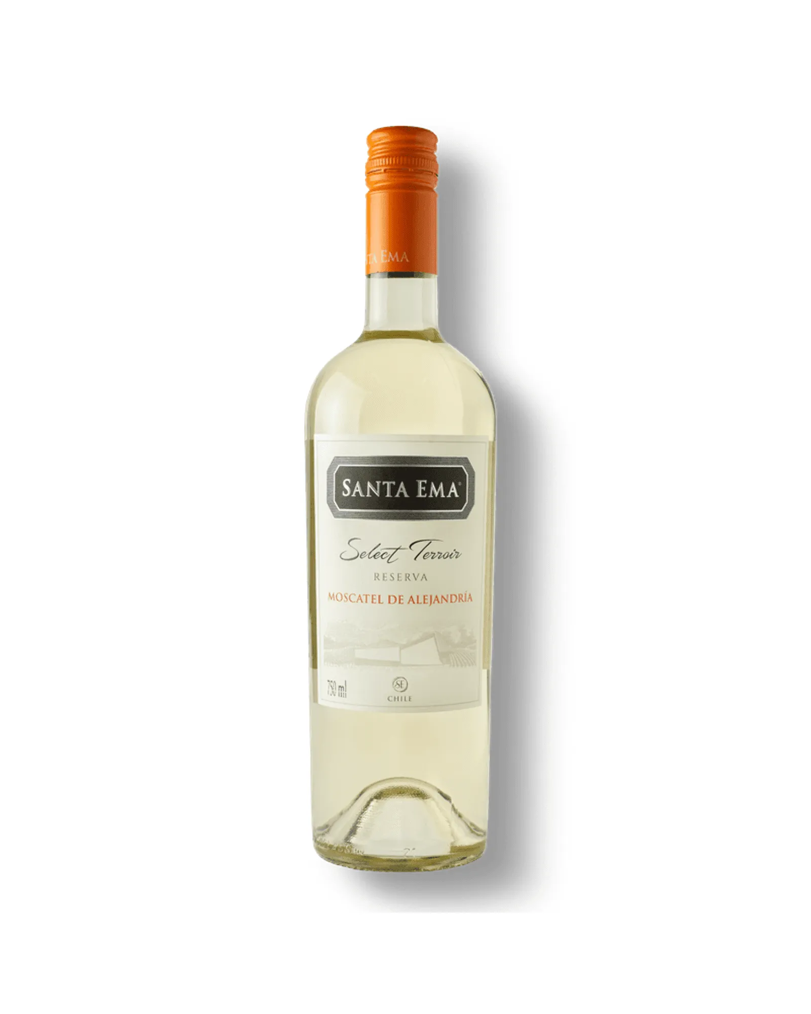 Vinho Santa Ema Select Terroir Reserva Moscatel 750 ml