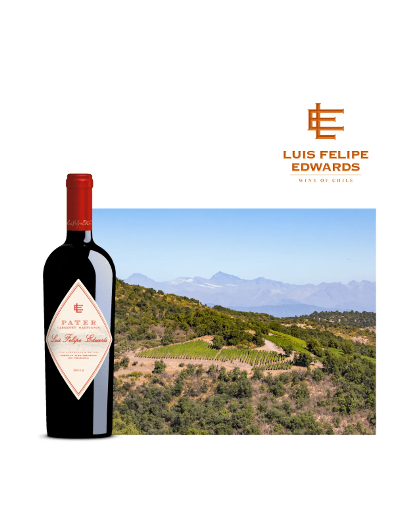 Vinho Tinto Pater Cabernet Sauvignon 750 ml